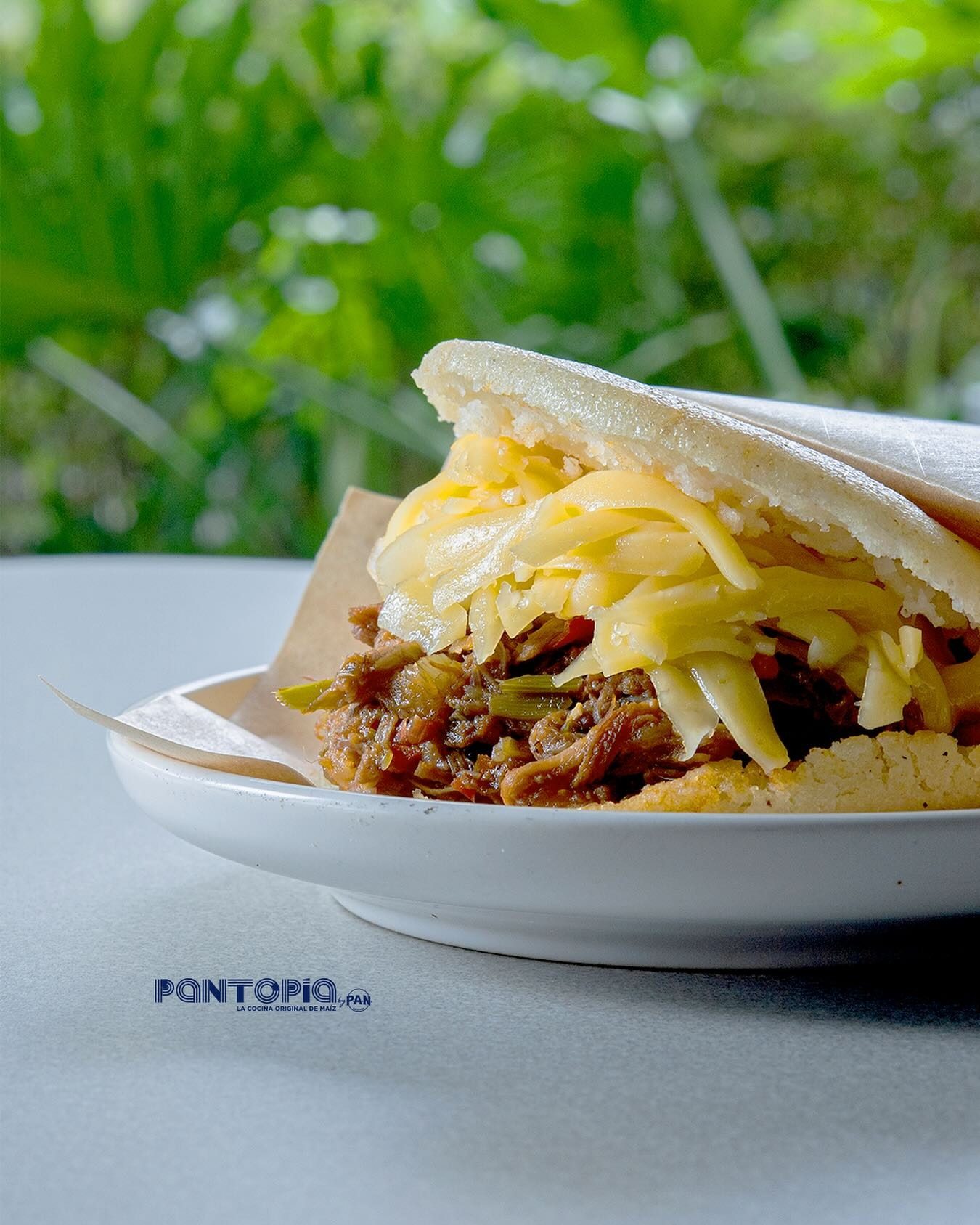 Pantopía by P.A.N.