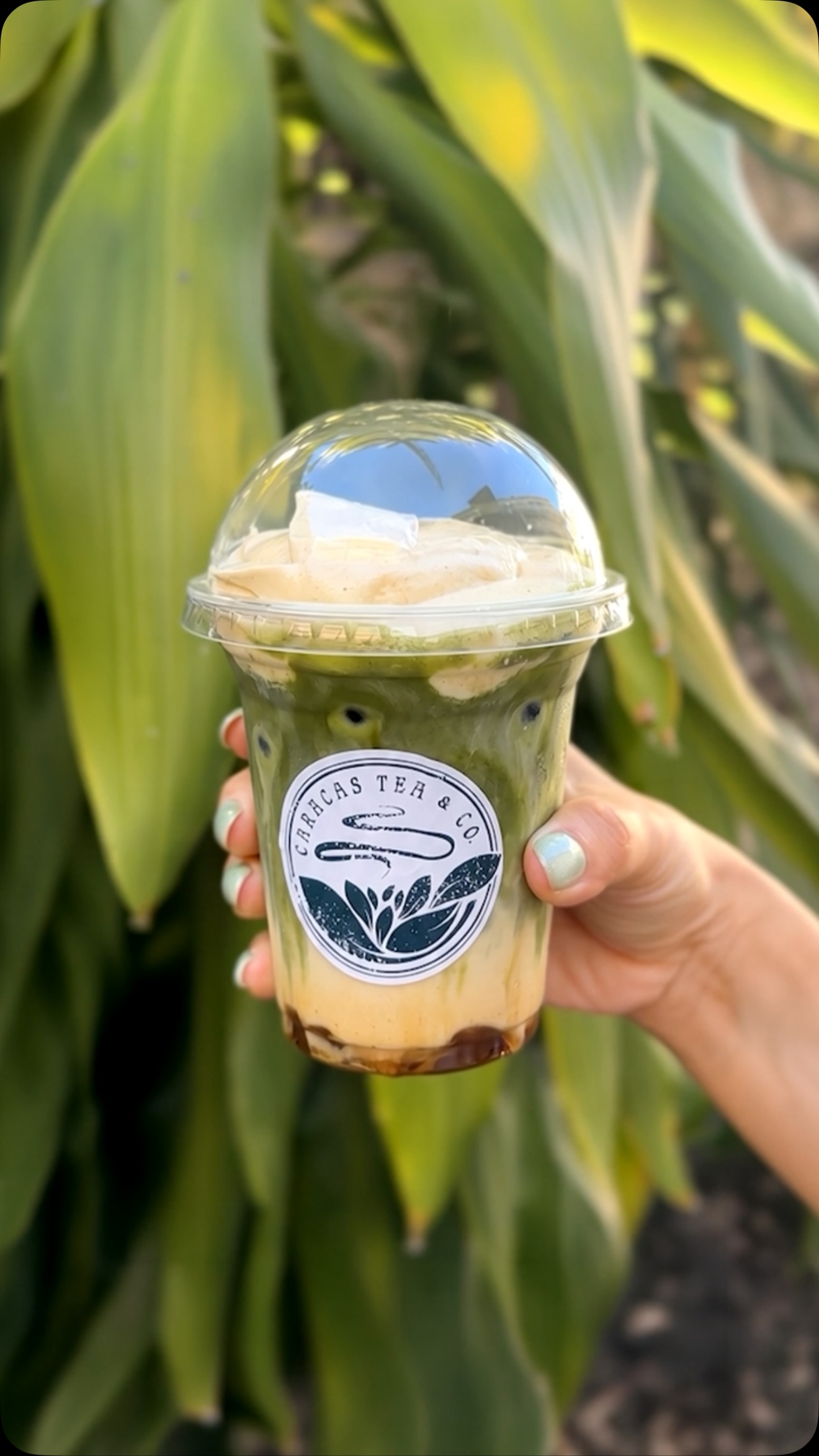 Caracas Tea & Co