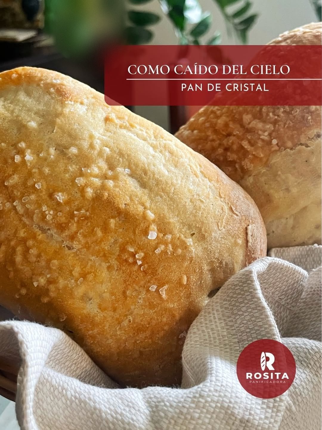 Panadería Rosita: Foto: @panaderiarositaccs