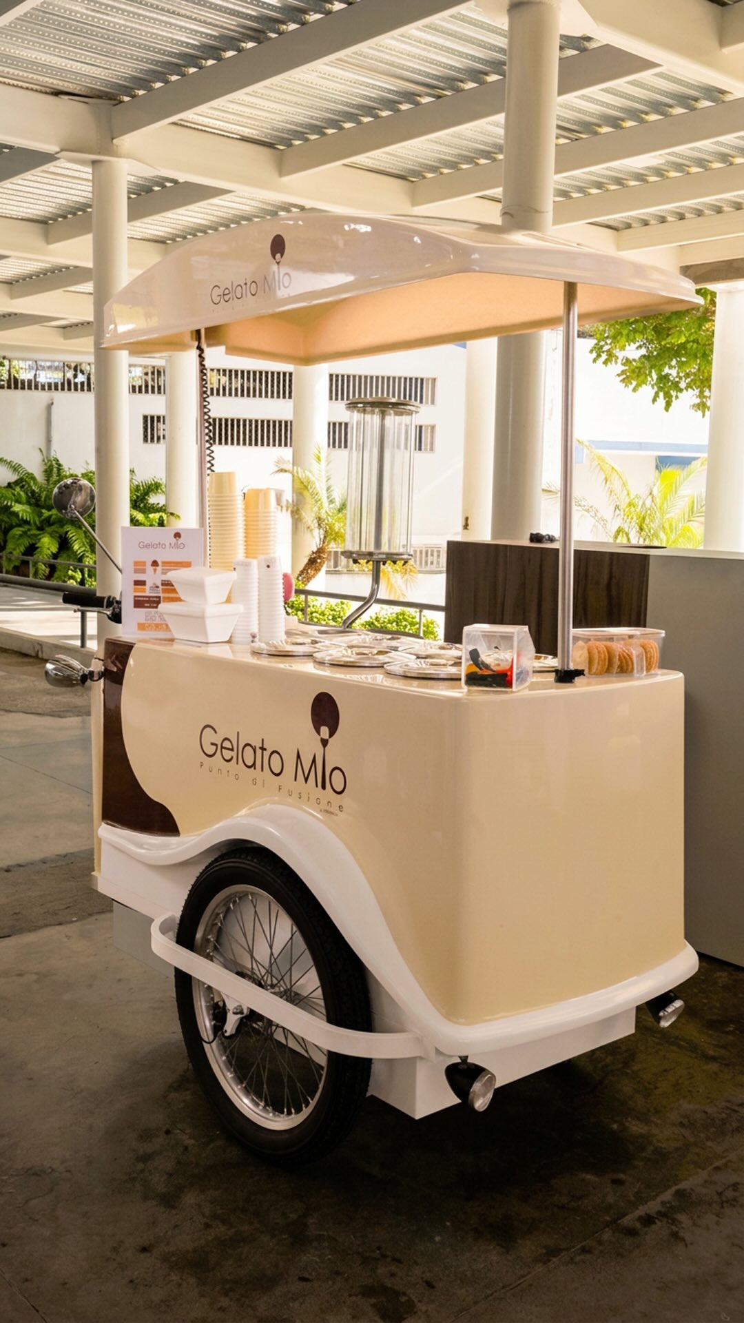 Gelato Mio Tolón