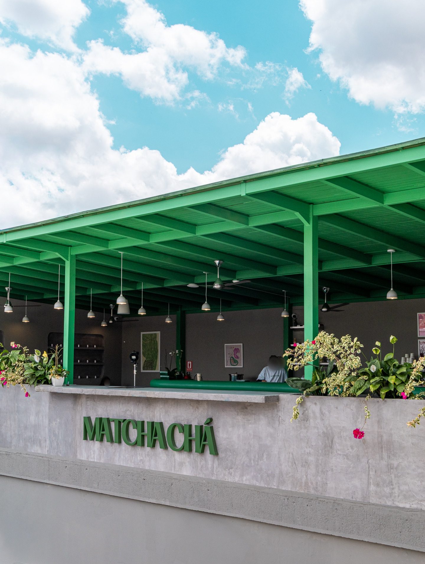 Matcha Chá