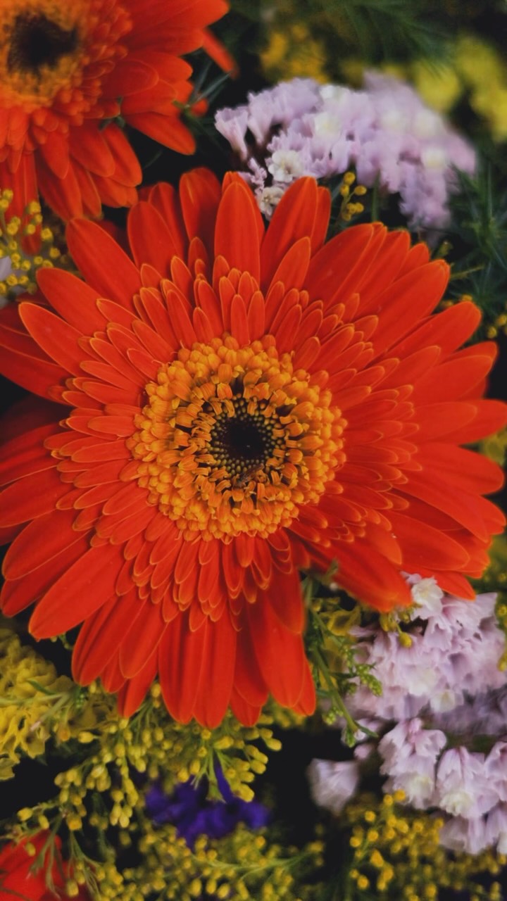 La Noche de las Flores