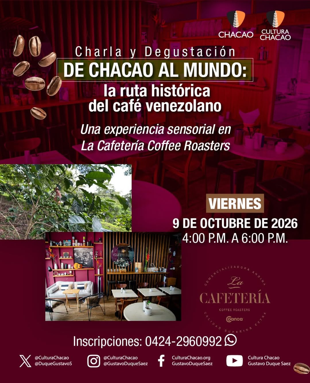 De Chacao al mundo: la ruta histórica del café venezolano