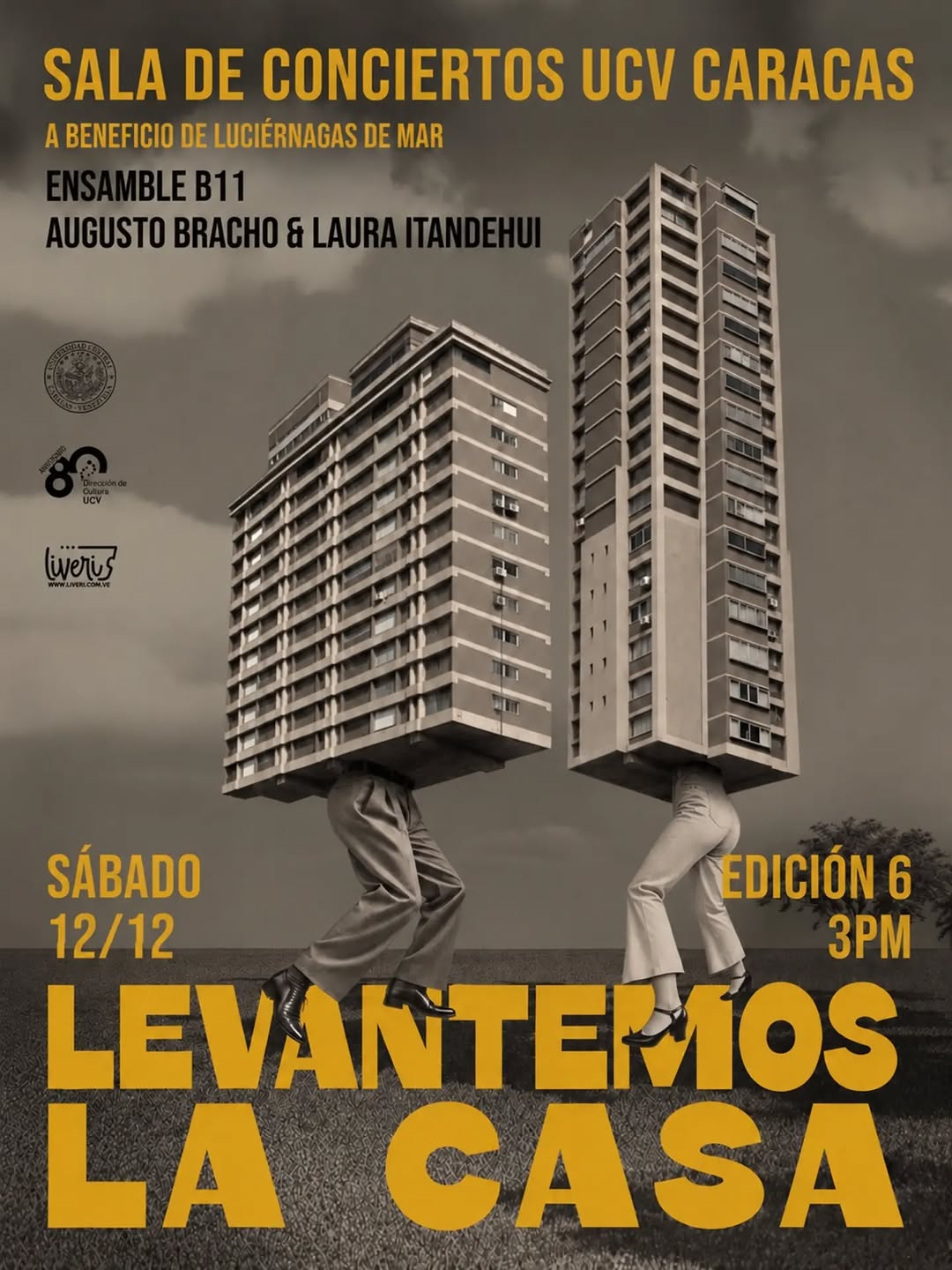 Levantemos la casa