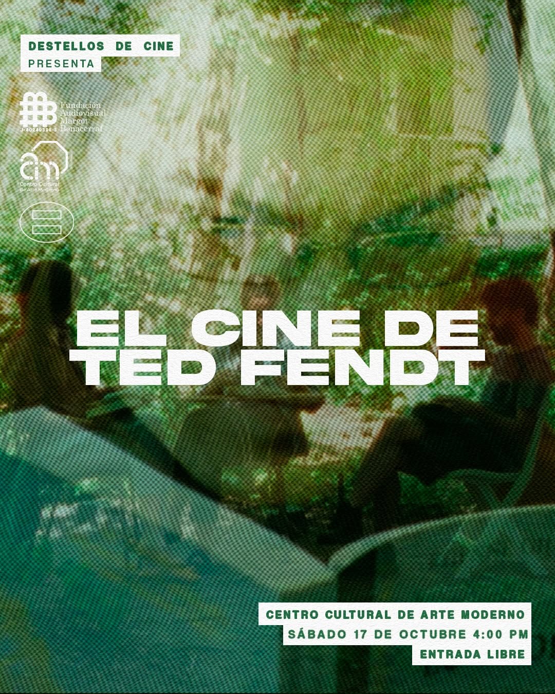El Cine de Ted Fendt
