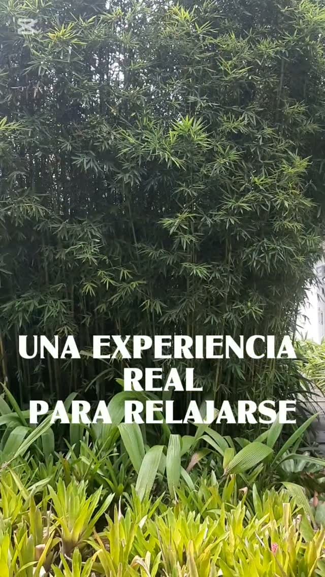 Recorrido y acuarela